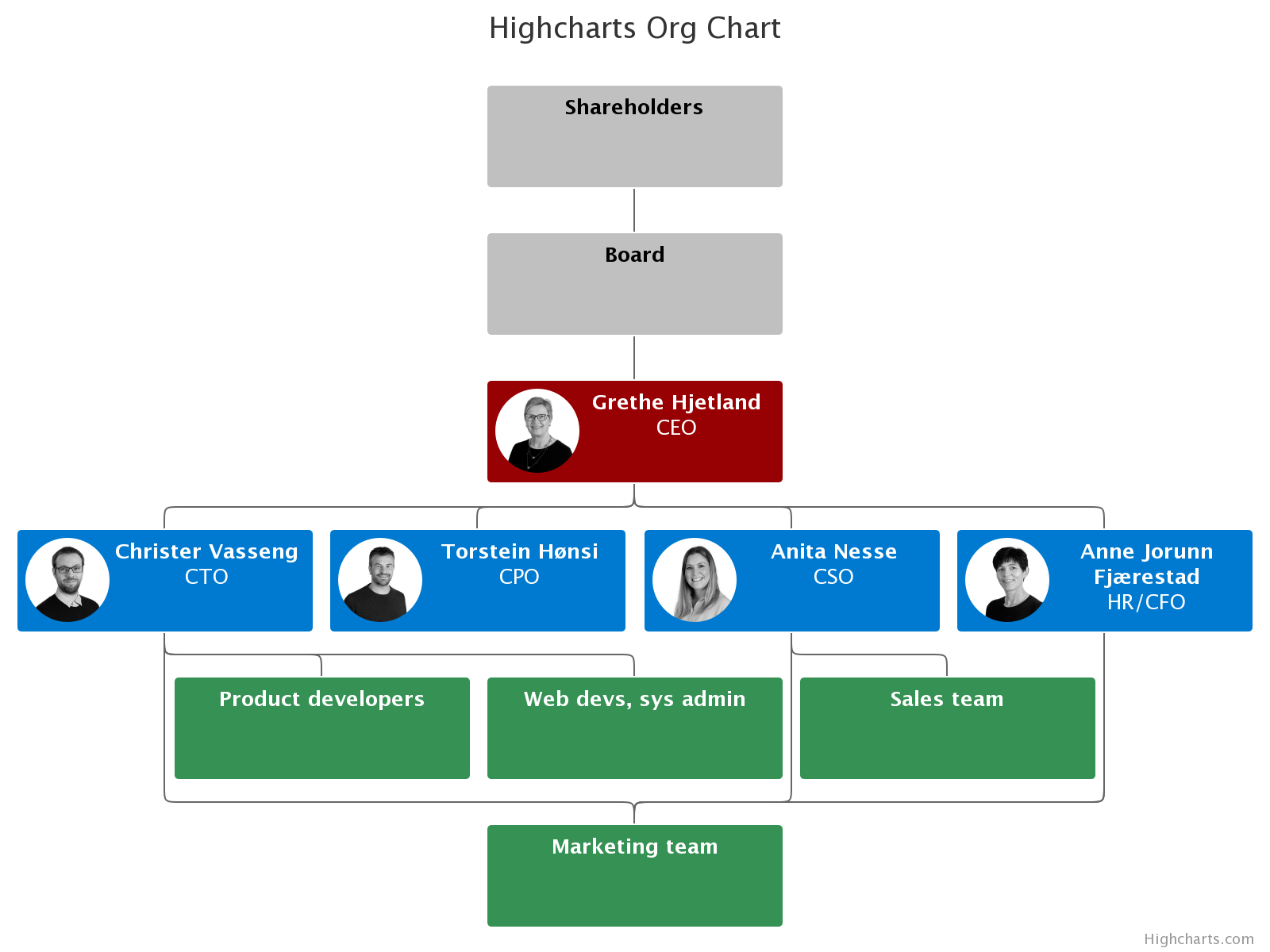 Organization Example Chart